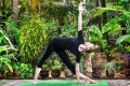 Trikonasana Yoga Pose - Triangle Yoga Pose